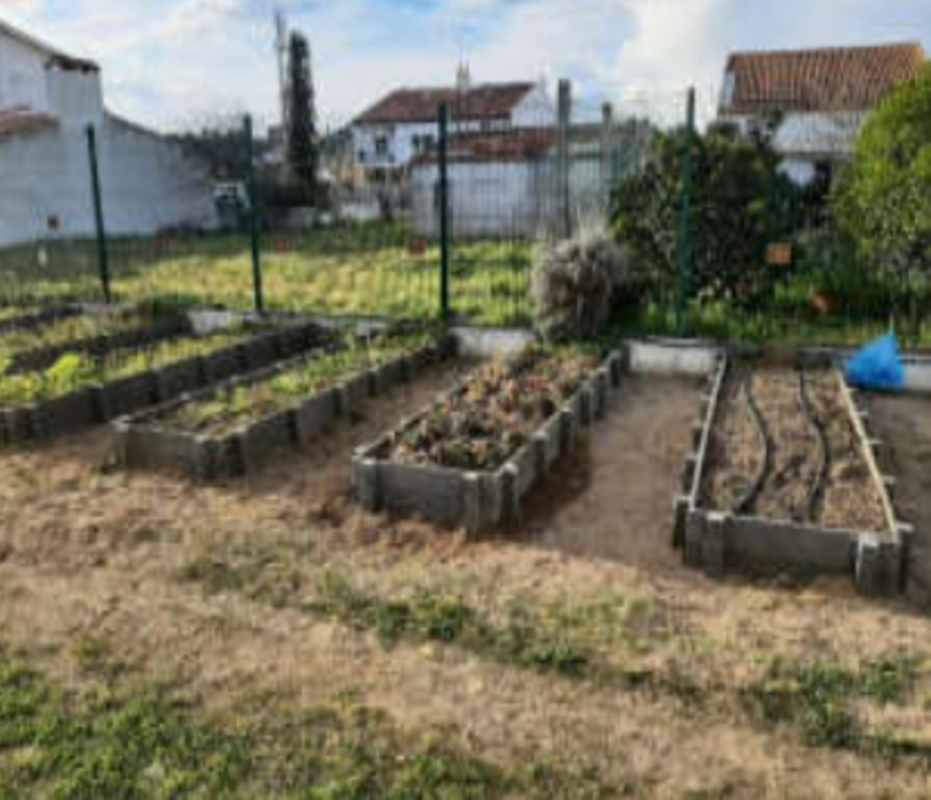 Caixas de cultivo